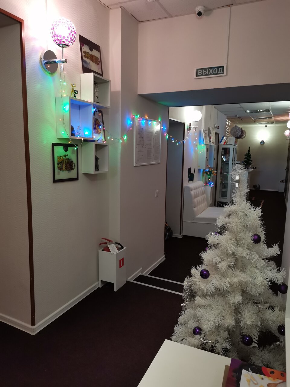 Гостиница Линдсей Москва-119