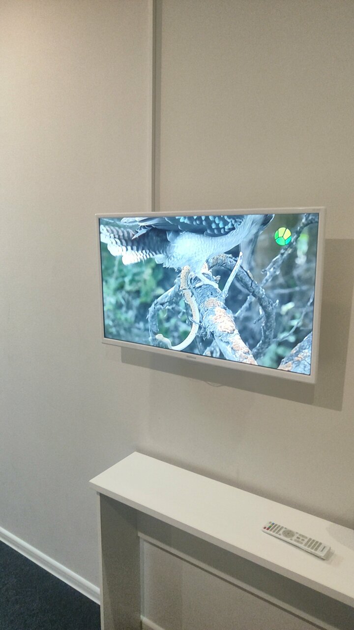 Гостиница Линдсей Москва-106