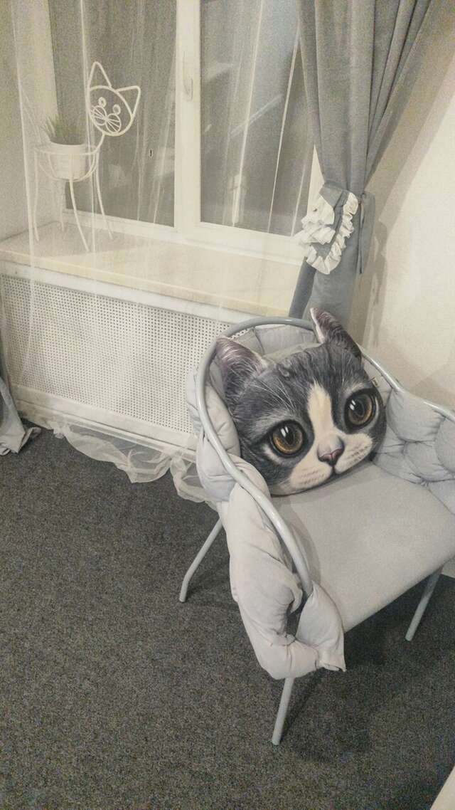 Гостиница Линдсей Москва-126