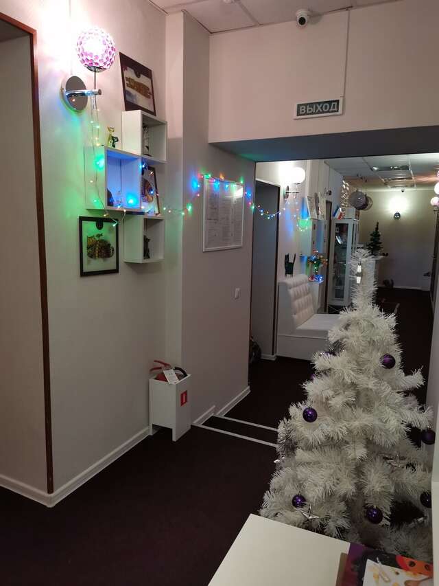 Гостиница Линдсей Москва-118